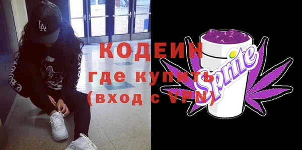 шишки Нягань