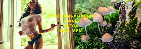 шишки Нягань