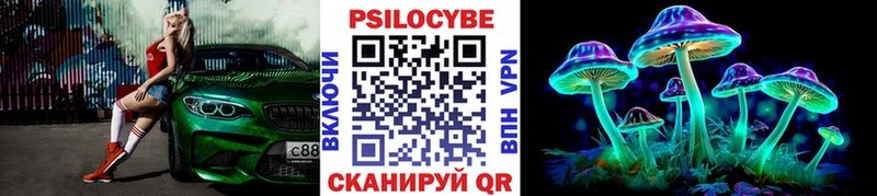Псилоцибиновые грибы Psilocybe  Купить где  Переславль-Залесский 